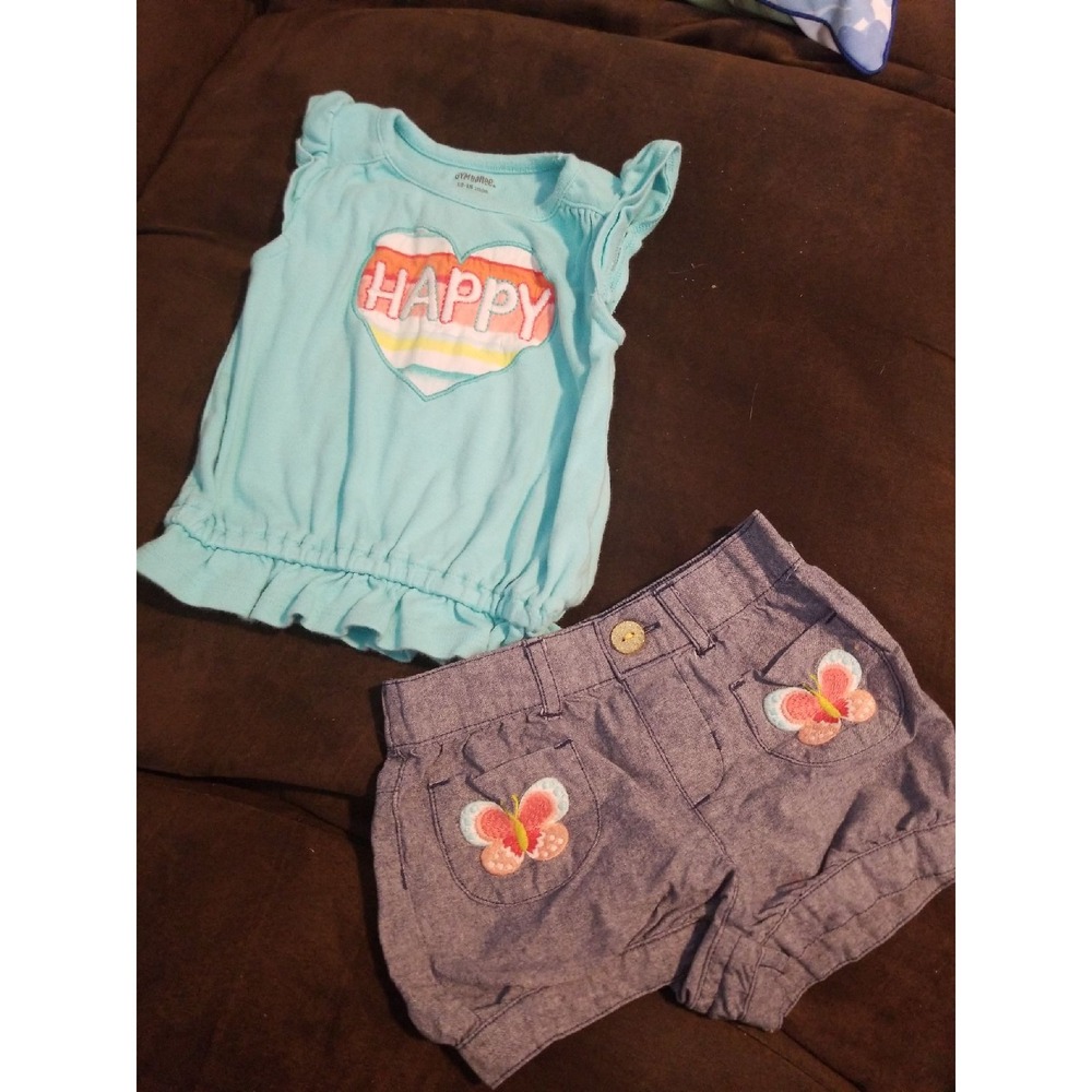 Gymboree butterfly catcher outfit 12 18 months
